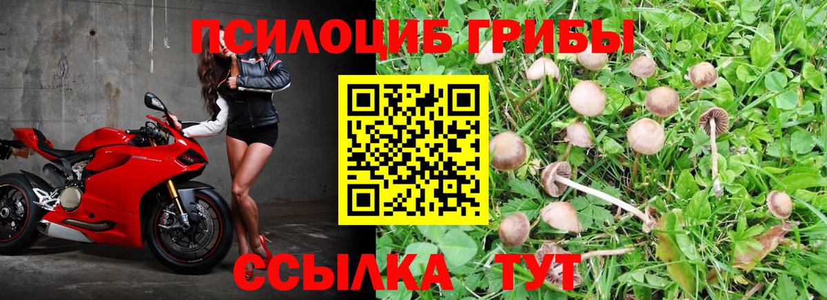 Галлюциногенные грибы мицелий  Галлюциногенные грибы Psilocybe  Кимры  Вход с VPN 