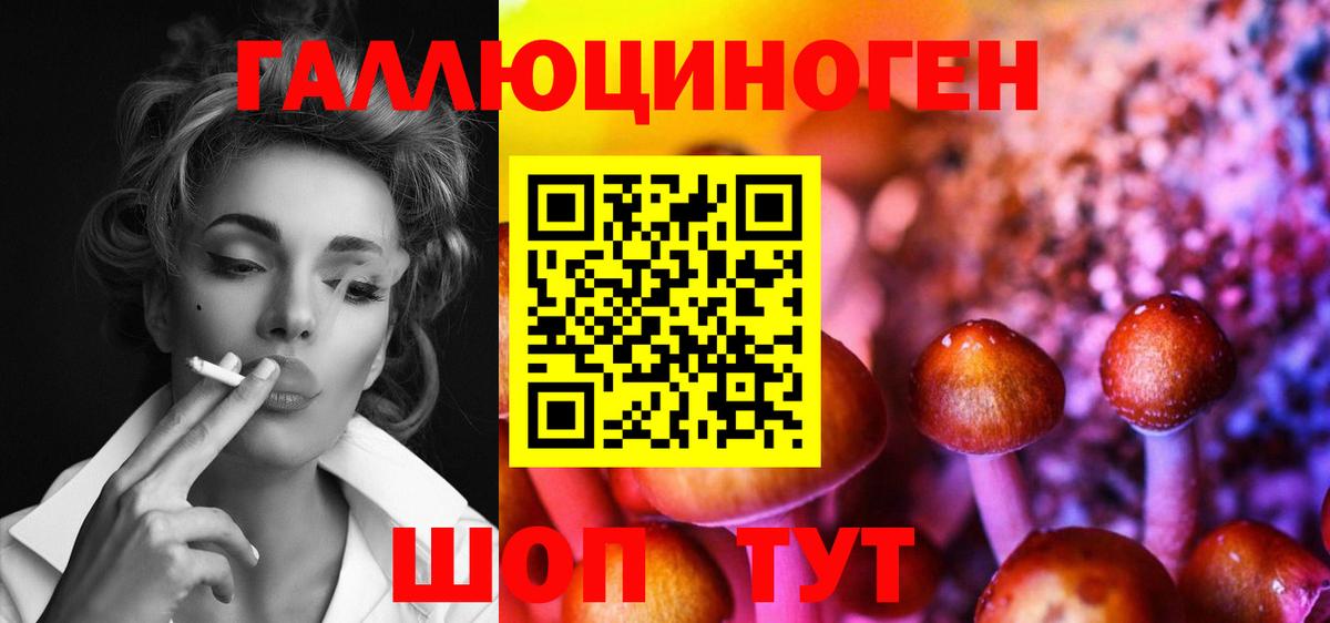 Галлюциногенные грибы прущие грибы Кимры